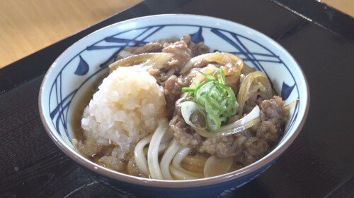 0625うどん (500px).jpg