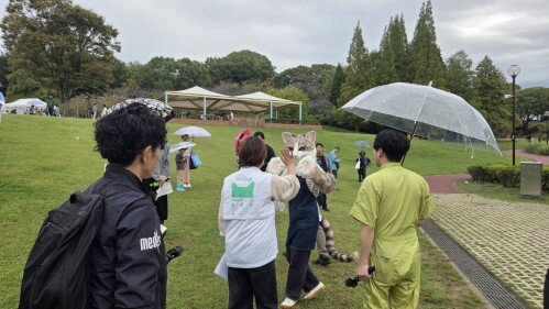 Image (38) (500px).jpg