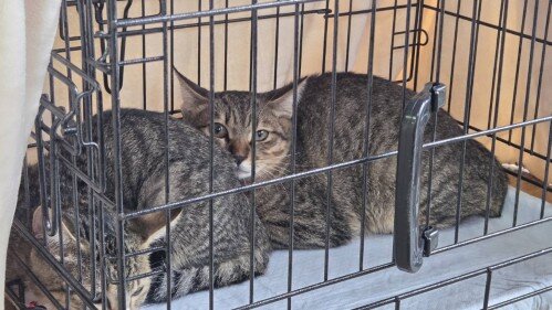 Image (40) (500px).jpg