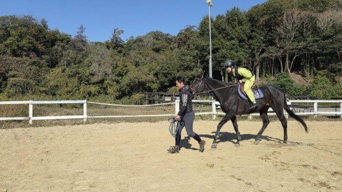 Image (42) (500px).jpg