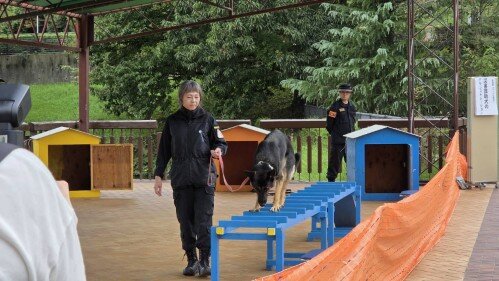 Image (45) (500px).jpg