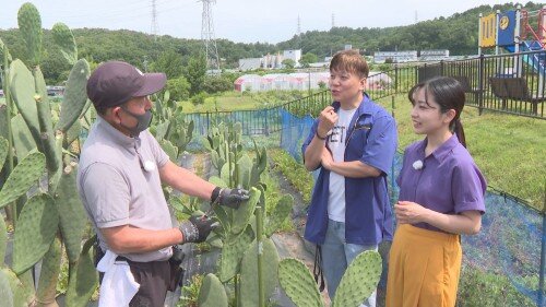 Still0619_00006 (500px).jpg