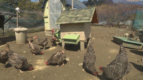 ⑤内観 (500px).jpg