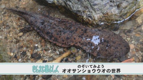 せとまち6月号 (1).jpg