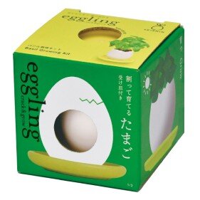 手土産② (500px).jpg