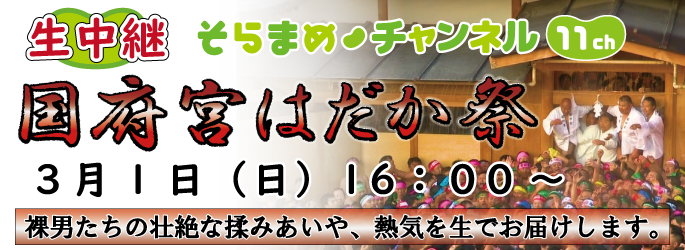 国府宮はだか祭